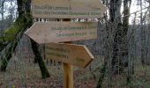 Tour Wandern Queyssac - Queyssac 14,5km - Photo 2