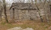 Tour Wandern Berrias-et-Casteljau - Chassezac cirque du Casteljau - Photo 1