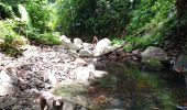 Excursión Senderismo Bouillante - Trou à Diable par la rivière Bourceau - Photo 13