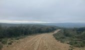 Trail Mountain bike Pardailhan - La Louvière assignan saint chinian - Photo 13