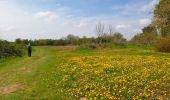 Tocht Stappen Sombreffe - Marche Adeps à Tongrinne - Sombreffe - Photo 7