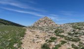 Excursión Senderismo Châtillon-en-Diois - Les Cabanes de Châtillon (Glandasse) - Photo 19