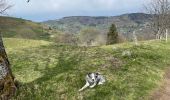 Tocht Stappen Cornimont - Col du Brabant - Roche du Lac via Collet-Masuy - Photo 1