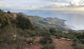 Tour Wandern Saint-Raphaël - Les Suvières et le Marsaou depuis Notre Dame - Photo 18