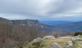 Trail Walking Vialas - Vialas tour du Rocher de Treize - Photo 14