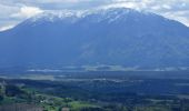 Tocht Te voet Feistritz ob Bleiburg - Hochpetzensteig - Photo 3