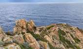 Trail Walking Calvi - Revellata  - Photo 3