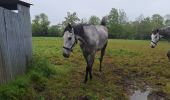 Trail Walking Le Mesnil-Simon - Le Mesnil Simon - Photo 5
