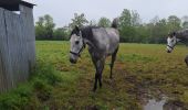 Tour Wandern Le Mesnil-Simon - Le Mesnil Simon - Photo 5