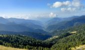 Tocht Stappen Moulinet - Col de Turini  - Photo 8