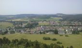 Tocht Stappen Gerolstein - Eifelsteig Gerolstein - Photo 11