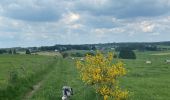 Trail Walking Neufchâteau - Tronquoy - Respelt - Photo 1