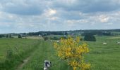 Tour Wandern Neufchâteau - Tronquoy - Respelt - Photo 1