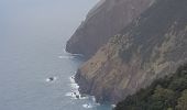 Tour Wandern Machico - Madère : du tunnel de Caniçal à Porto da Cruz - aller en bus - Photo 18