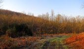 Randonnée Marche Vieux-Moulin - en forêt de Compiègne_26_la Grotte des Ramoneurs_Tournantes de la Queue de Saint-Etienne et sur la Côte de Roilaye - Photo 1