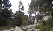 Trail Walking Fillière - refuge Patmelan via anglettaz . gd glacière . fontaine du tour . grotte de l enfer  / retour via gd montoir et pt montoir  - Photo 2