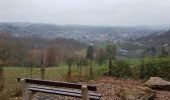 Trail Walking Stavelot - Stavelot  - Somagne - La Vaulx Richard - Photo 4