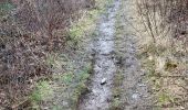 Tour Wandern Manhay - Harre, marche adeps 10 Km - Photo 6