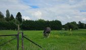 Excursión Senderismo Blegny - A travers la campagne blegnytoise 🥾 - Photo 4