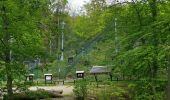 Trail On foot Wernigerode - DE-grünes Quadrat - Photo 2