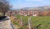 Tour Wandern Château-Chalon - Château-Chalon boucle 11km - Photo 3