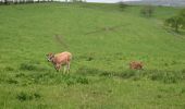 Tocht Stappen Olne - 20210517 - Saint Hadelin 5.6 Km - Photo 5