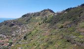 Tocht Stappen Câmara de Lobos - Levada de Norte depuis le promontoire du Cabo Girao (Rother n°5)  - Photo 18