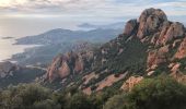 Trail On foot Saint-Raphaël - 2 pics et 3 cols depuis le parking d' Antheor - Photo 14