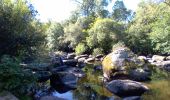 Tour Wandern Boussay - Boussay - Clisson  - Photo 16