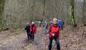 Randonnée Marche Paliseul - Maissin, la Lesse 4 - Photo 19