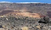 Tour Wandern La Orotava - Montana Blanca Refuge Altavista Forteleza La Rambletta Teide 3718 m - Photo 16