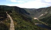 Tocht Te voet The Municipal District of Wicklow - Spinc and Glenealo Valley - Photo 10