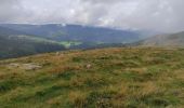 Trail Walking Wasserbourg - Boenlesgrab - Photo 1