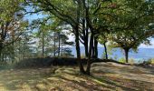 Tour Wandern Sankt Didel - Camp celte de La Bure et Roche des Corbeaux  - Photo 3