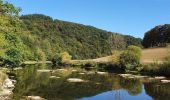 Tocht Stappen Bouillon - rando rochehaut 8/09/2020 - Photo 13