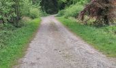 Tocht Stappen Limburg - Limbourg ( promenade dans les bois) - Photo 4