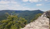 Tour Wandern Altweier - Roche du Tétras - Bilstein - Photo 2