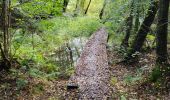 Trail Walking Bouillon - Bellevaux 190923 - Photo 3