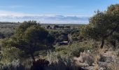 Tocht Stappen Vitrolles - Plateau de Vitrolles - Photo 2