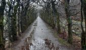 Trail Walking Theux - autour de croixpapet et vert-buisson - Photo 12