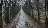 Randonnée Marche Theux - autour de croixpapet et vert-buisson - Photo 12