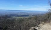 Trail Walking Ourches - Le Tour de Chalamet - Photo 2