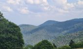 Trail Walking Rombach-le-Franc - Col de Schlingoutte - Photo 10