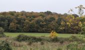 Tour Wandern Bourgueil - Bourgueil le Picard - GRP Coteaux de Bourgueil - 24.3km 325m 5h25 (45mn) - 2024 10 30 - Photo 10