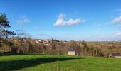 Randonnée Marche Namur - Balade à Malonne - Le Volcan - Photo 3