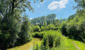 Randonnée Marche Hannut - La vallée de la Mehaigne : balade de la Mouhagne à Moxhe - Photo 1