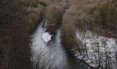 Tour Wandern Florenville - Randonnée à Florenville  - Photo 1