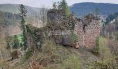 Tour Wandern Wangenburg-Engenthal - Le donjon du Wangenbourg - Photo 6