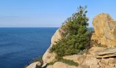 Excursión Senderismo Ramatuelle - Ramatuelle - de Bonne Terrasse au Rocher des Portes en passant par le phare - Photo 8