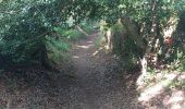Trail Walking Ploemel - PR_56_Ploemel_BA_02_Chapelles-Et-Fontaines_Circuit1b_20230810 - Photo 9